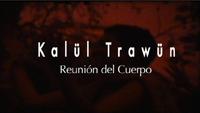 Este sábado 17 de diciembre, a las 19:00 horas, se inaugura "Kalül Trawün_ Reunión del Cuerpo", obra en proceso del profesor del Departamento de Artes Visuales, Francisco Huichaqueo.
