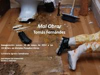 La muestra "Mal obrar" de Tomás Fernández dará inicio a este ciclo de exposiciones que, bajo la curatoría de Ignacio Szmulewicz, pretende configurar una nueva mirada en torno al arte joven chileno.