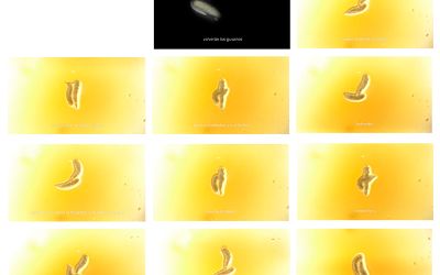 "Tríplice" de Manuel La Rosa "Tríplice" de Manuel La Rosa