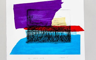 Stefania Daroch - "Paisaje río Valdivia" Grabado aguafuerte P/A 15x28cm. 2015 Stefania Daroch - "Paisaje río Valdivia" Grabado aguafuerte P/A 15x28cm. 2015