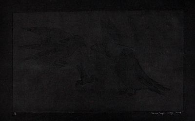 Ximena Rojas - Grabado intaglio, 30x50cm. 2009 Ximena Rojas - Grabado intaglio, 30x50cm. 2009