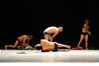 Estrenada en noviembre de 2015, la obra coreográfica es co-dirigida por Marcela Olate, Javiera Sanhueza y Daniela Marini, esta última, académica del Departamento de Danza.